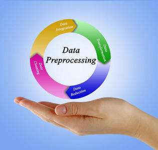 信息管理與處理 現(xiàn)代企業(yè)的核心能力